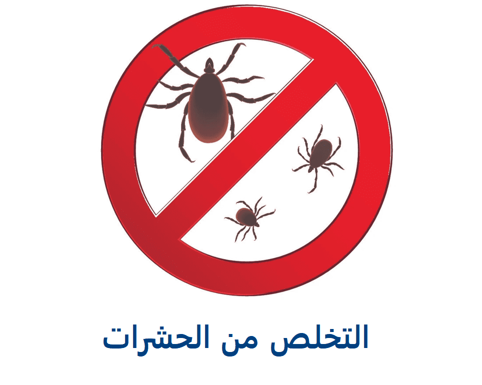 Read more about the article رقم بلدية العين للحشرات